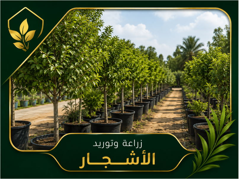 زراعة اشجار