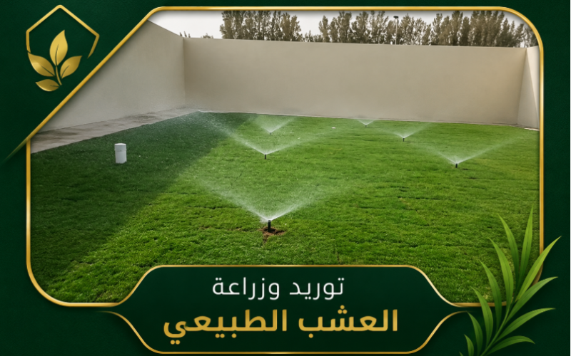 طبيعي